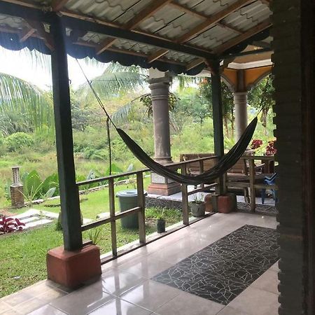 Sumatra Cheeky Monkeys Otel Bukit Lawang Dış mekan fotoğraf