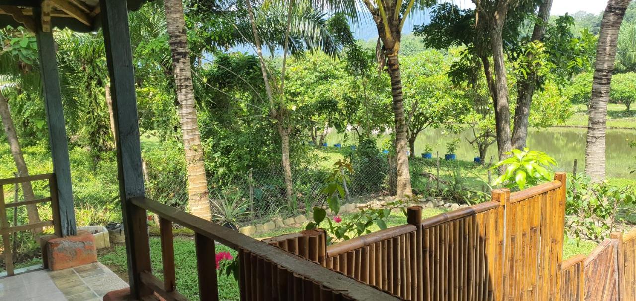 Sumatra Cheeky Monkeys Otel Bukit Lawang Dış mekan fotoğraf