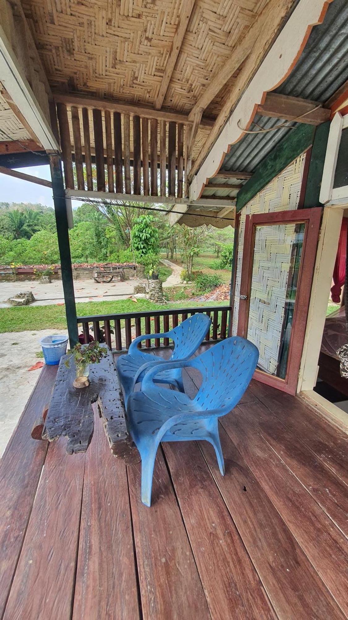 Sumatra Cheeky Monkeys Otel Bukit Lawang Dış mekan fotoğraf