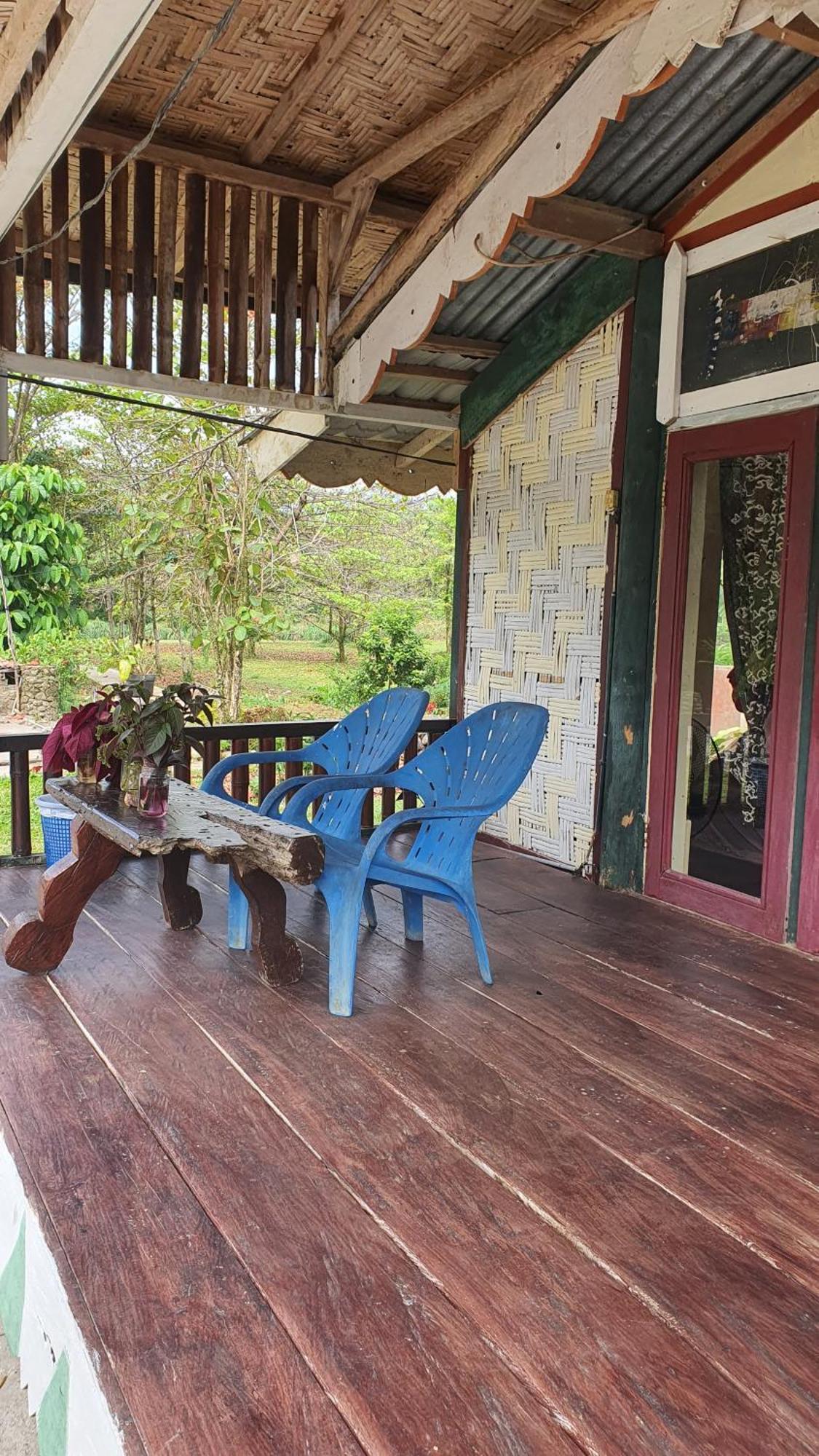 Sumatra Cheeky Monkeys Otel Bukit Lawang Dış mekan fotoğraf