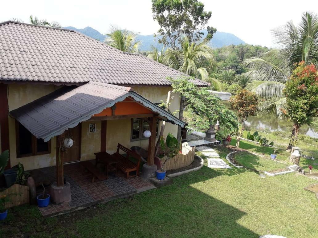 Sumatra Cheeky Monkeys Otel Bukit Lawang Dış mekan fotoğraf