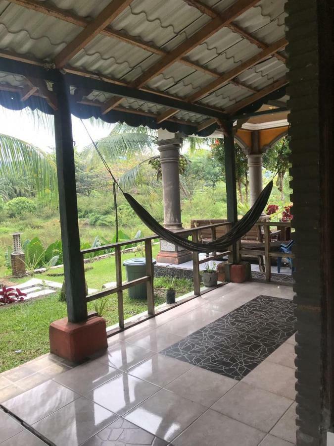 Sumatra Cheeky Monkeys Otel Bukit Lawang Dış mekan fotoğraf
